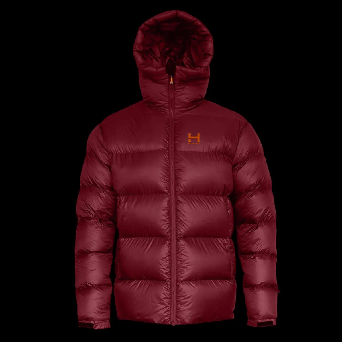 Mens Altitude Down Parka