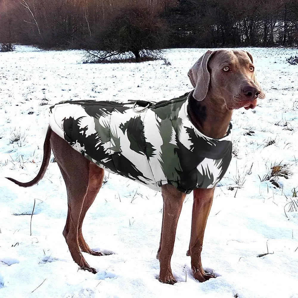 Winter Dog Jacket: Stylish Hooded Coat - Warm & Waterproof Essentials for Dogs